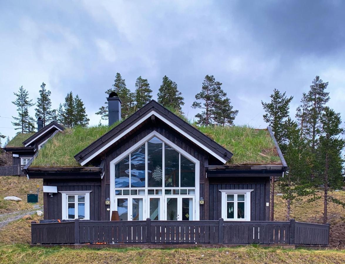 Villa Lemonsjoen-Jotunheimen-Besseggen Stuttgongfossen Esterno foto