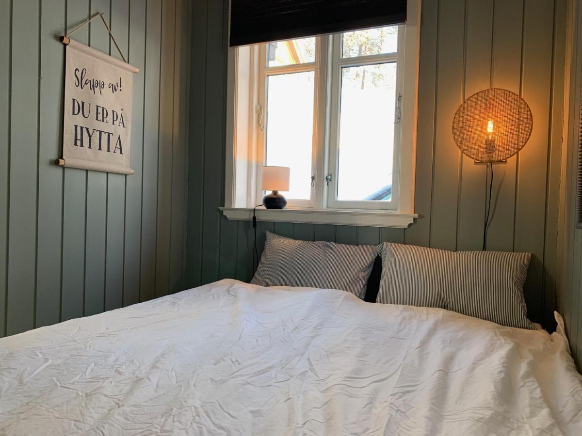 Villa Lemonsjoen-Jotunheimen-Besseggen Stuttgongfossen Esterno foto