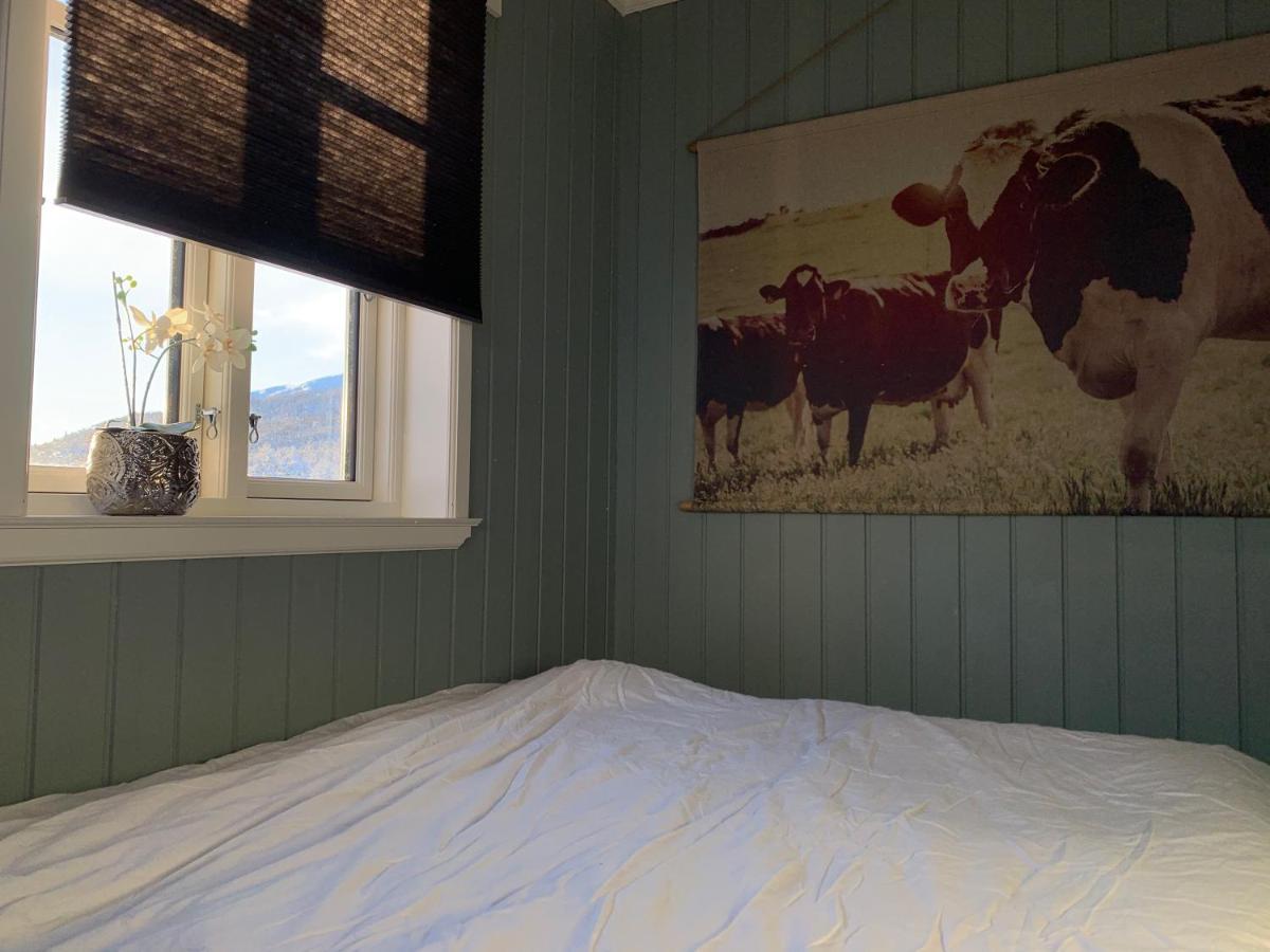 Villa Lemonsjoen-Jotunheimen-Besseggen Stuttgongfossen Esterno foto