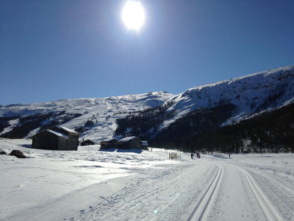 Villa Lemonsjoen-Jotunheimen-Besseggen Stuttgongfossen Esterno foto