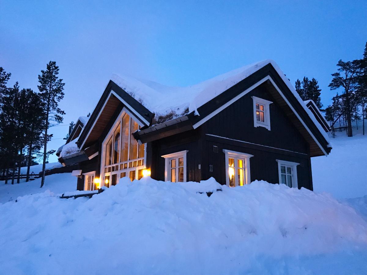 Villa Lemonsjoen-Jotunheimen-Besseggen Stuttgongfossen Esterno foto